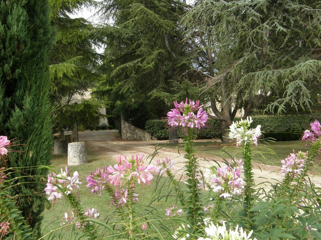 Chambres D'Hotes Domaine De La Brette Moncrabeau Ruang foto